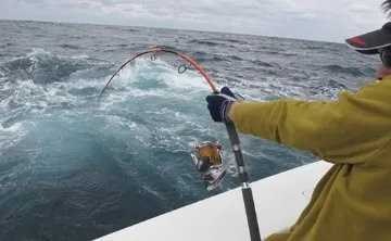 Vertical fishing technique in a boat by throwing lead lures to the bottom of the sea.